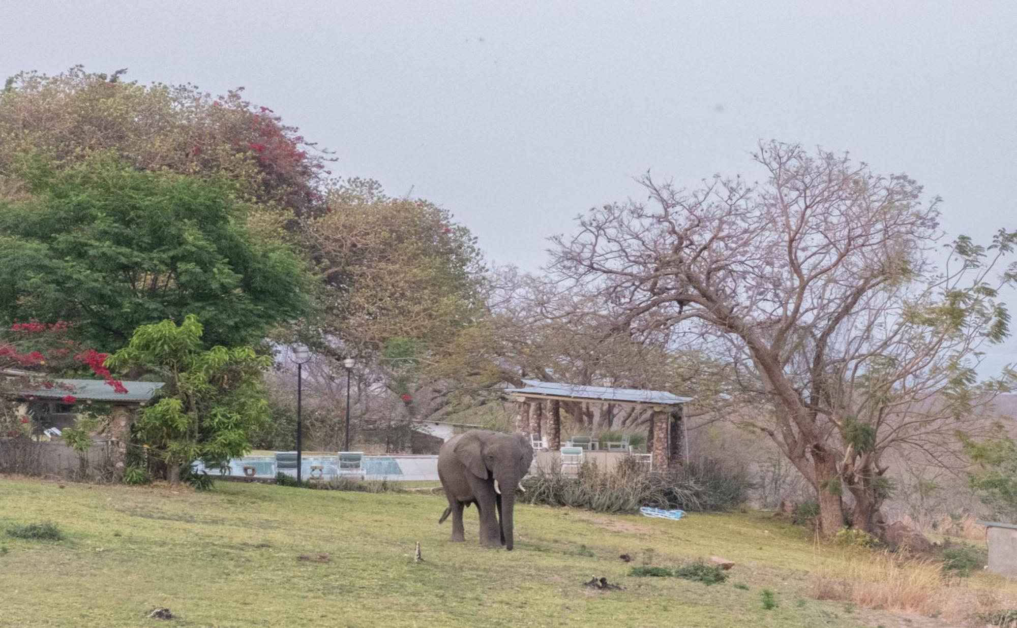 Musungwa Safari Lodge Shanjungu Eksteriør bilde
