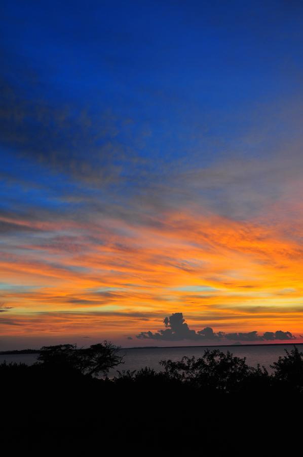 Musungwa Safari Lodge Shanjungu Eksteriør bilde